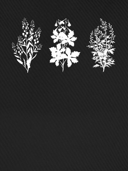 Wildblumen