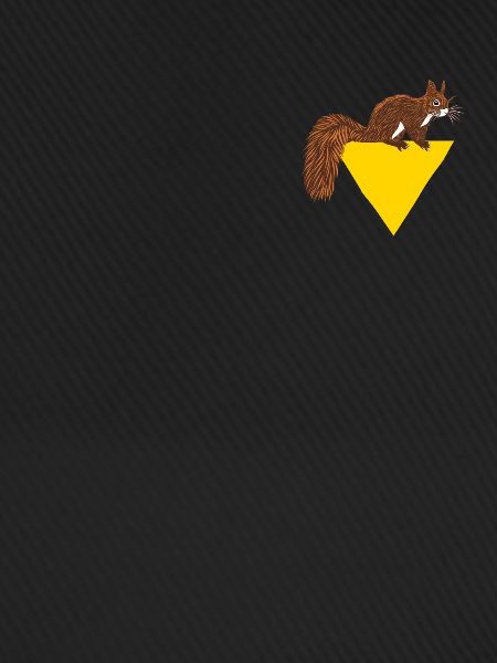 Squirrel Logo Emblem Grauhörnchen Squirrel