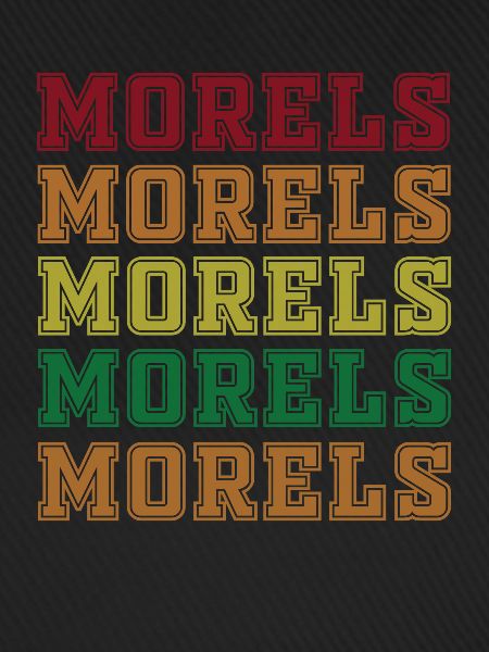 Morcheln