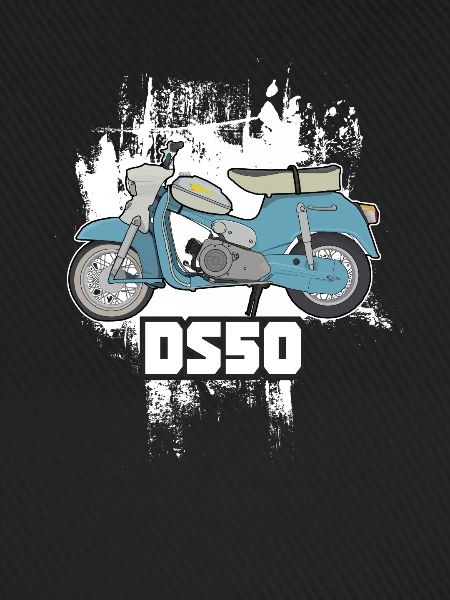 DS50 / Schwalbenfahrer / Ostalgie / Mofa Oldtimer