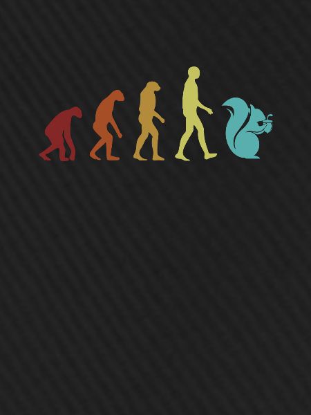 Squirrel Evolution Grauhörnchen Squirrel