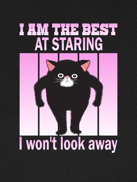 Starrende Katze - Katzen Starren