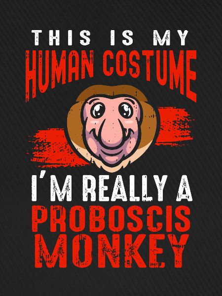 Proboscis-Affe Langnase