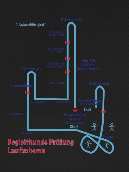 Begleit Hunde Laufschema