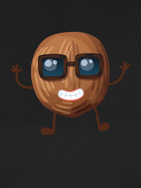 Kokosnuss mit Sonnenbrille