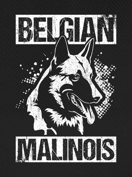 Belgian Malinois Hunde