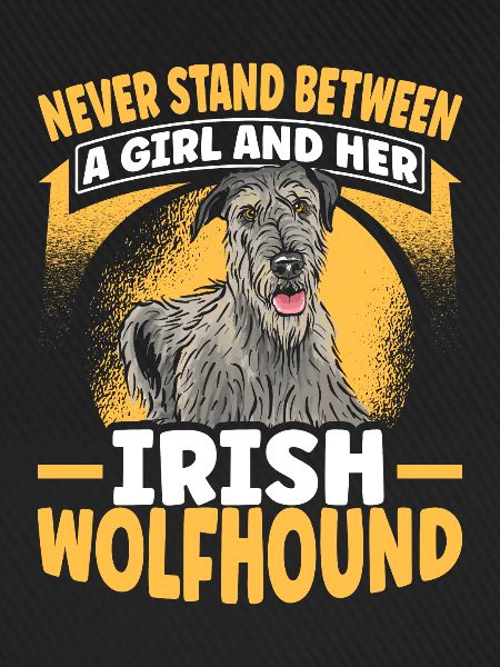 irischer Wolfshund