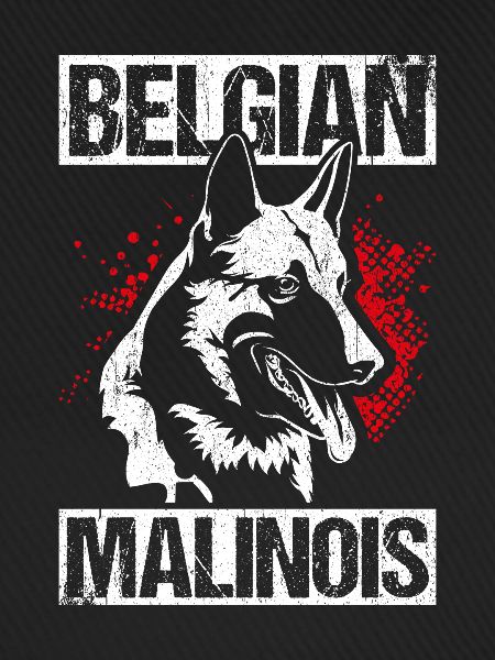 Belgian Malinois Hunde