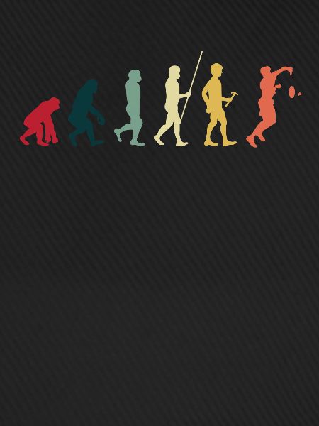 Badminton Evolution