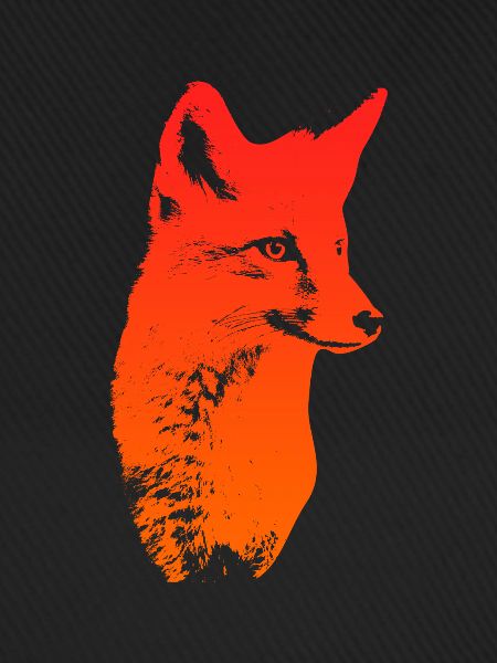 Fuchskopf Fuchs Fuchsjagd Jäger