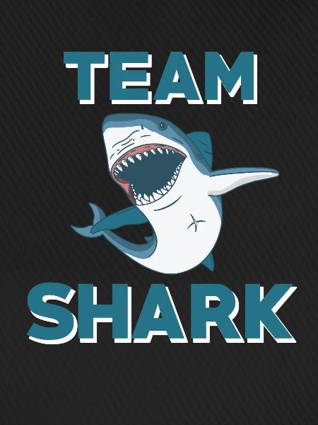 Team Hai