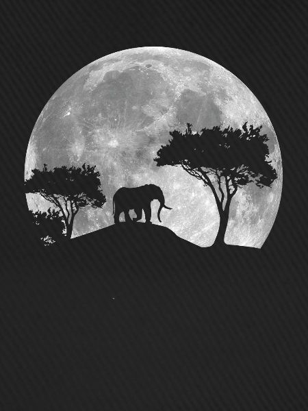 Elefant Im Mond