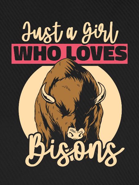 Bison Büffel Bulle Buffalo Bisons