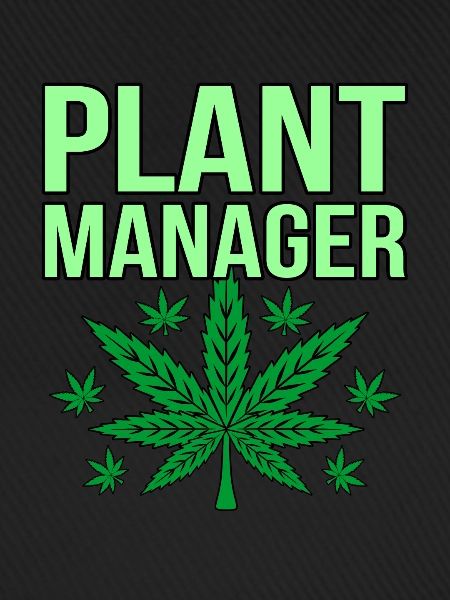 Cannabis