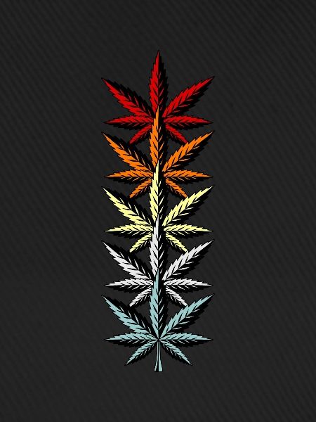 Cannabis