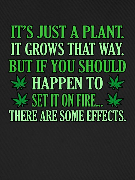 Cannabis