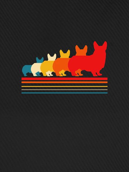 Corgi