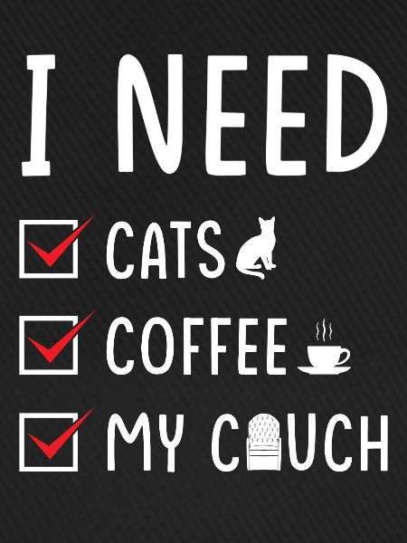 katzen Kaffee Couch