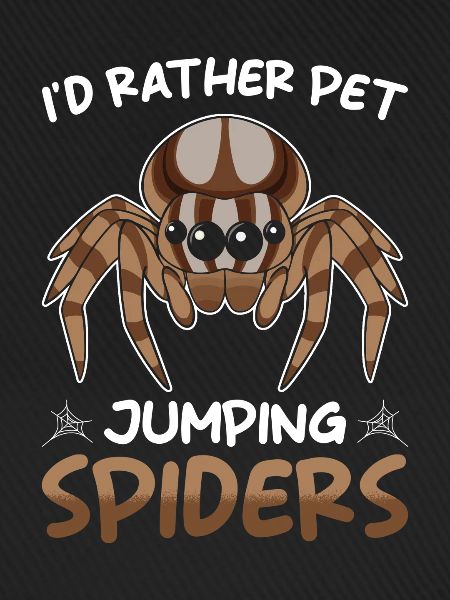 Springspinne Spruch