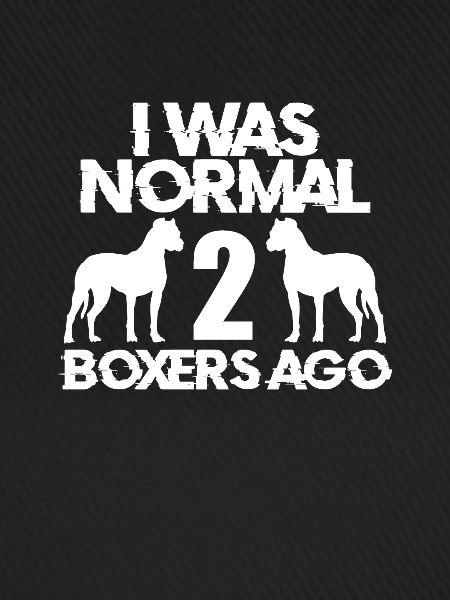Boxer Hund