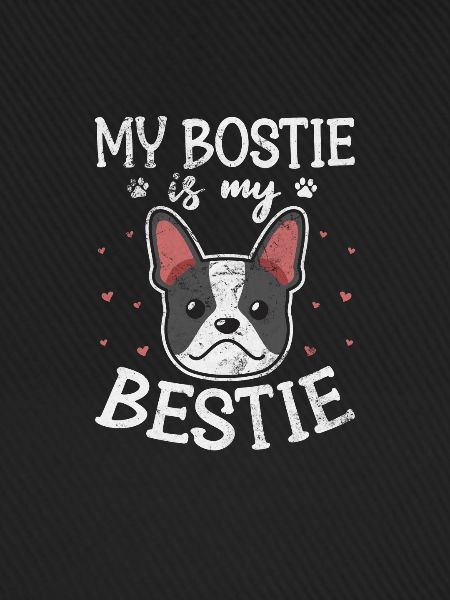 Boston Terrier