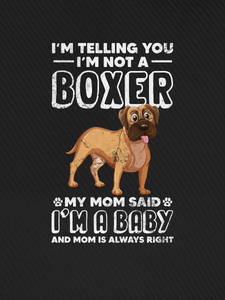 Boxer Hund