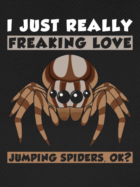 Springspinne
