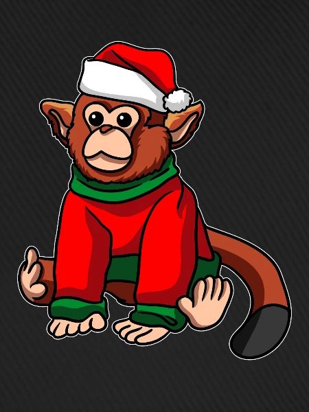 Affe mit Weihnachtsmütze Weihnachtskostüm