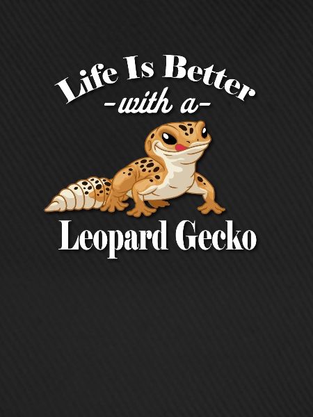 Leopardgecko