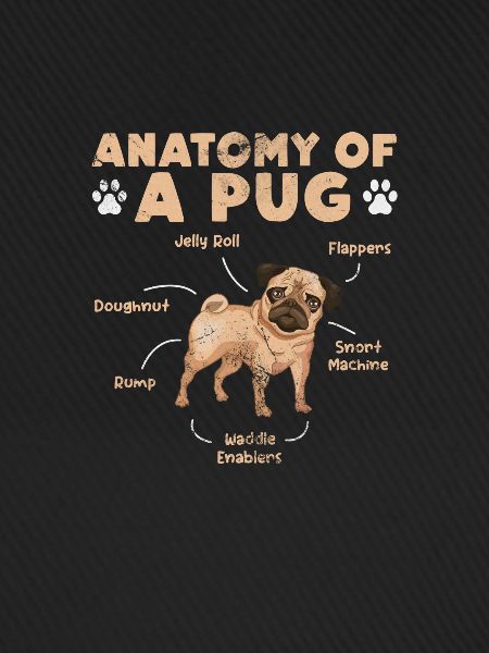 Mops