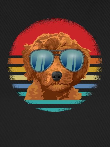 goldendoodle Hund