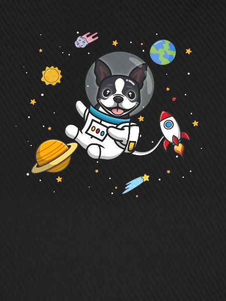 Boston Terrier