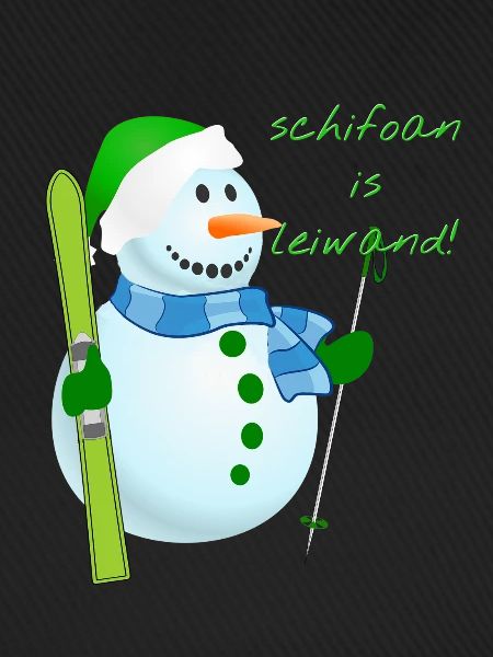 Leiwand Schifoan