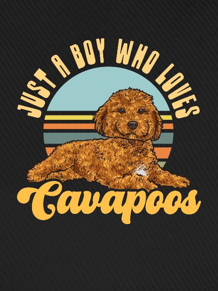 Cavapoo Cavoodle Capoodle Hund