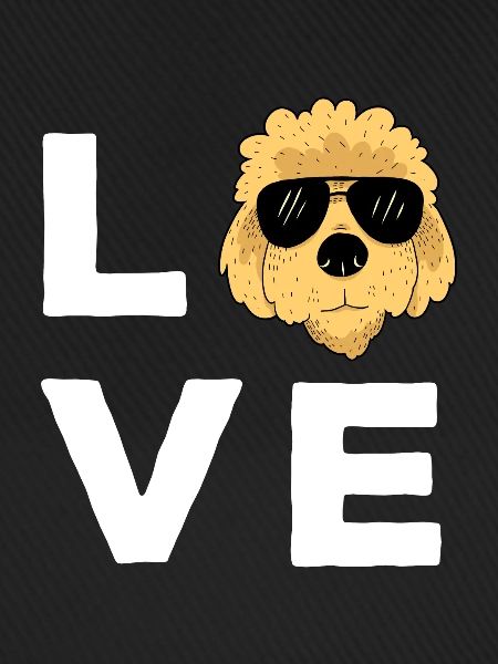 Goldendoodle Doodle Hund