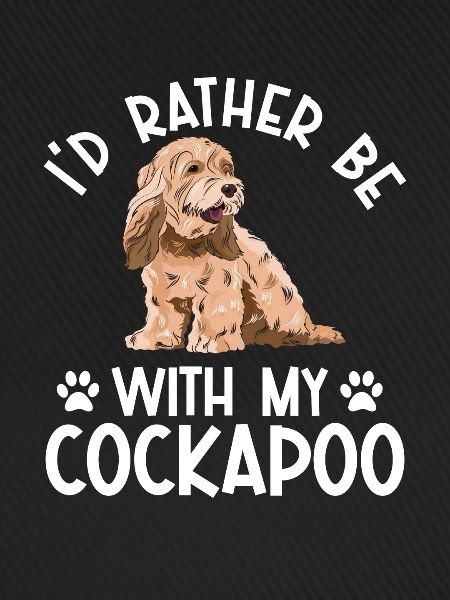 Cockapoo Hund