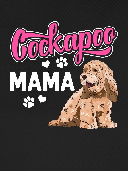 Cockapoo Hund