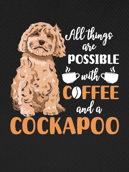 Cockapoo Hund