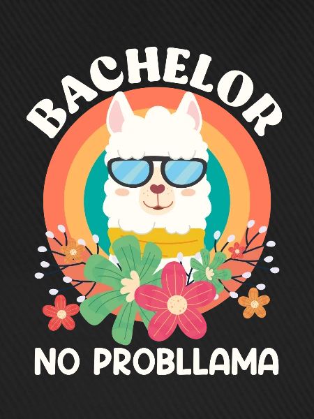 Bachelor Abschluss NO Probllama