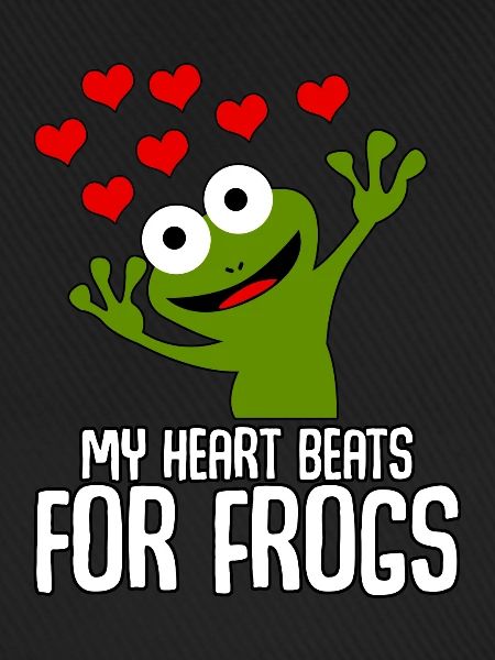 Frösche Frosch
