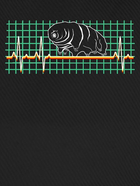 Tardigrade Wasserbär Bärtierchen