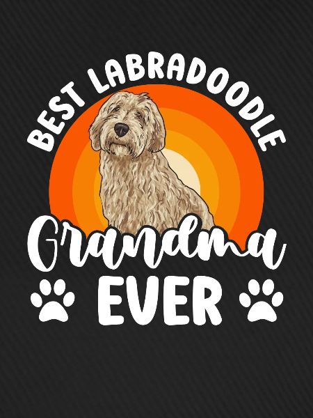 Labradoodle Hund