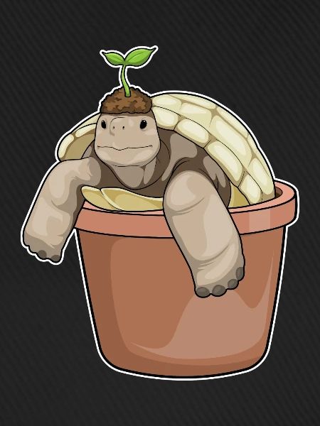 Schildkröte Setzling