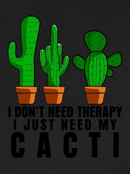 Cactus Therapy Cacti