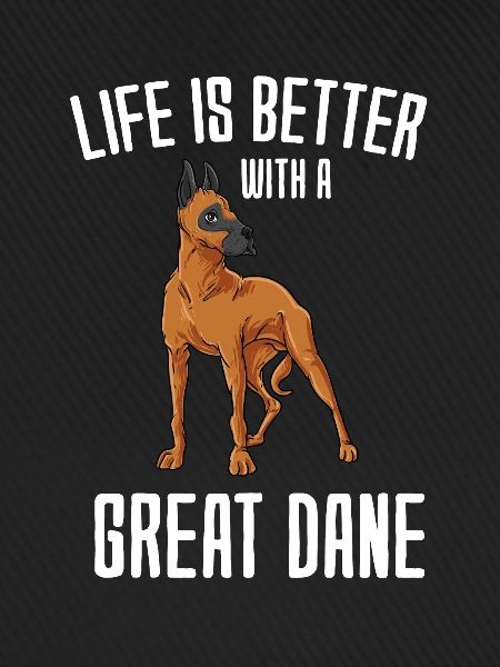 Dänische Dogge