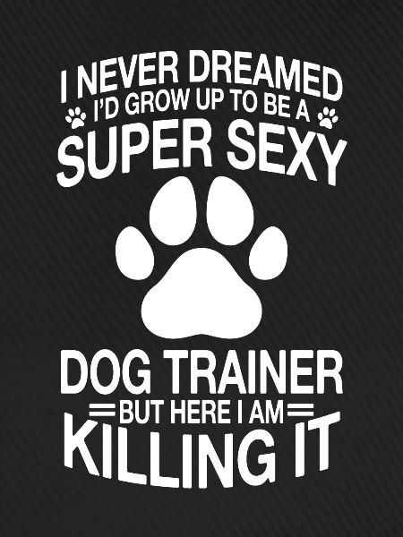 Lustiger Hundetrainer Spruch