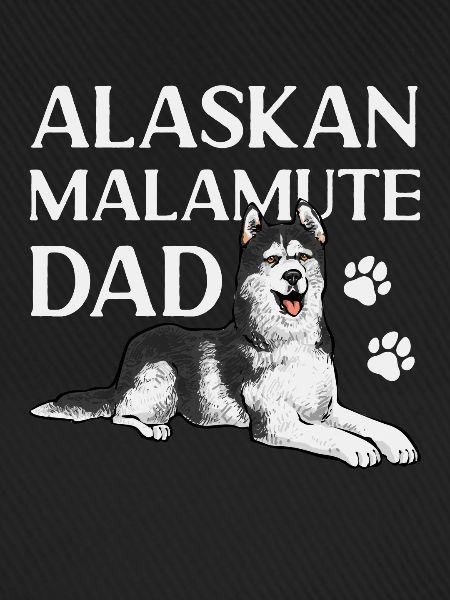 Alaskan Malamute Hund