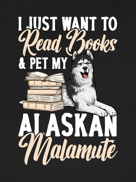 Alaskan Malamute Hund