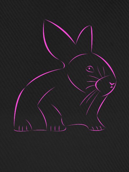 Hase gezeichnet