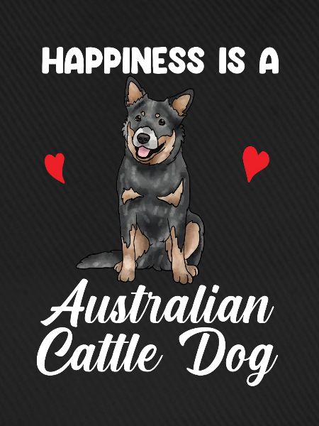 Australian Cattle Dog